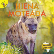 Hiena moteada - Spotted Hyena