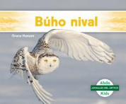 Búho nival - Snowy Owl