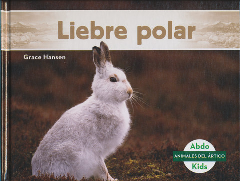 Liebre polar - Arctic Hare