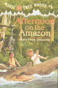 Afternoon on the Amazon