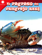 El regreso del cangrejo azul - Blue Crab Comeback