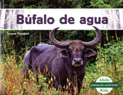 Búfalo de agua - Water Buffalo
