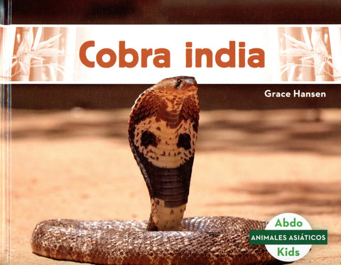 Cobra india - Indian Cobra
