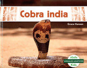 Cobra india - Indian Cobra