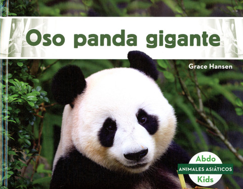 Oso panda gigante - Giant Panda