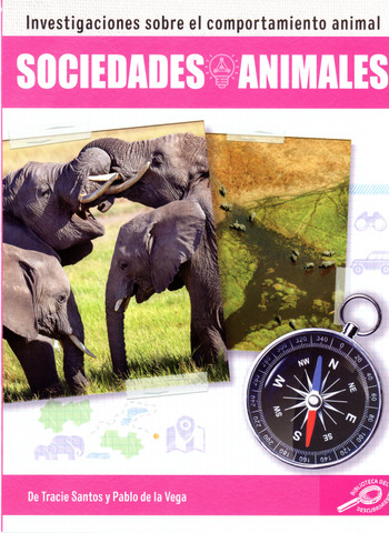 Sociedades animales - Animal Societies
