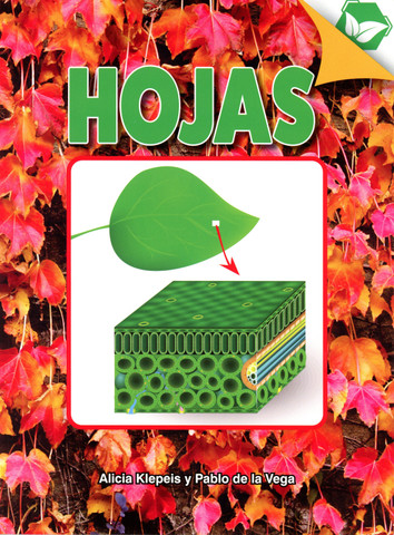 Hojas - Leaves