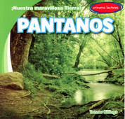 Pantanos - Swamps