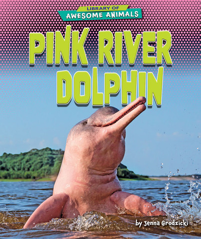 Pink River Dolphin