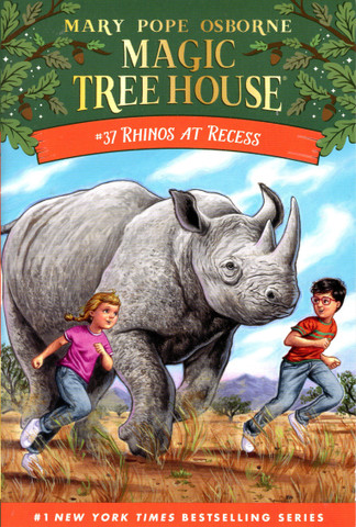 Rhinos at Recess