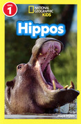 Hippos