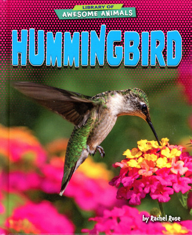 Hummingbird