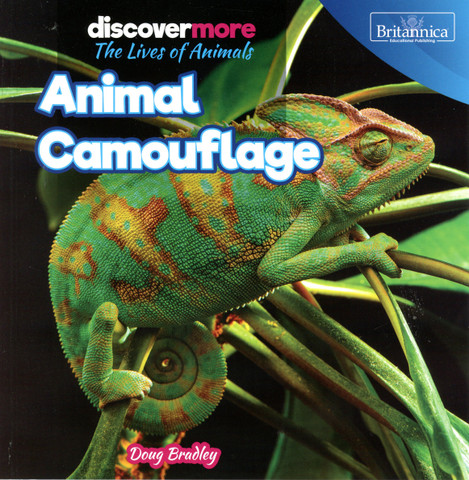 Animal Camouflage