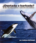 ¿Dentada o barbada? (PB-9781638173427) - Toothed or Baleen?