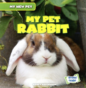 My Pet Rabbit