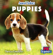 Puppies
