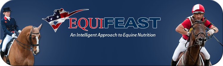 equifeast-americas-horse-supplements-horse-calmers-banner.png