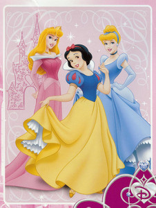 TWIN Disney 3 Princess MINK PLUSH BLANKET throw NEW!!