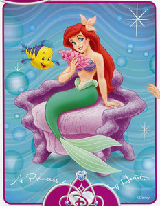 TWIN Disney Little Mermaid MINK PLUSH BLANKET throw NEW