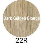 22r-dark-golden-blonde.jpg