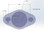 Drawing Of Product
AMS-019 
1.250 Bore x 1/4 Width