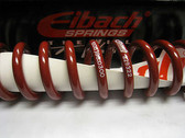 Legends Race Car, Thunder Roadster, Eibach Spring 10"