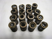 Valve Train, Yamaha FJ, KPMI, Valve Spring Kit, 80-1017