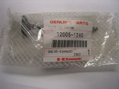 Valve Exhaust, Kawasaki, ZX1100, ZZR1200, 12005-1240, 12005-1148