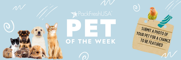 pet-of-the-week-banner-2-.png