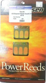 Boyesen 8-15 Hp DT Reeds - 423