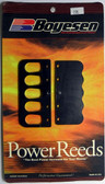 Boyesen Chrysler / Force 70-90 Hp Reeds - 235