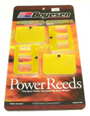Boyesen Johnson / Evinrude 150-250 Hp E-TEC 6 Cylinder Reeds - 16624