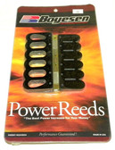 Boyesen Johnson / Evinrude 250 / 300 Hp Reeds,  8 Cylinder - 186