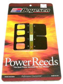 Boyesen Chrysler / Force / Mercury / Mariner 70-95 HP Reeds 234