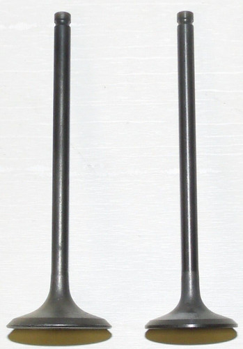 WSM 400-500 Engine Valve Kit '98-'09 017-207