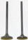 WSM 400-500 Engine Valve Kit '98-'09 017-207