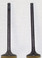 WSM 160 LT 1989-2001 Engine Valve Kit 017-206