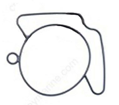 WSM JOHNSON / EVINRUDE FLOAT GASKET 130-250 HP 94-01, 0341258, 600-31-03