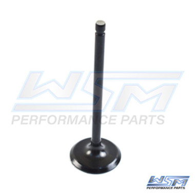 WSM INTAKE VALVE YAMAHA 115 HP 4-STROKE 14-21 - 120-262, 6EK-12111-00-00
