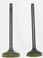 WSM Honda 300 TRX / TRX-FW 1988-2000 Engine Valve Kit 017-020