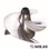 Solas Kawasaki / Sea-Doo 951 / 1200 / 1500 Impeller - 148mm - KG-CD-15/21, 59255