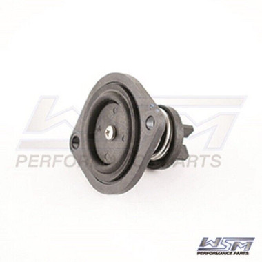 WSM BLOW OFF VALVE KIT EVINRUDE 40 - 60 HP E-TEC - 785-145, 5005457