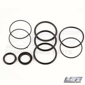 WSM Trim Cylinder Seal Kit: Evinrude / OMC / Volvo - 335-115, 3854247, 985060