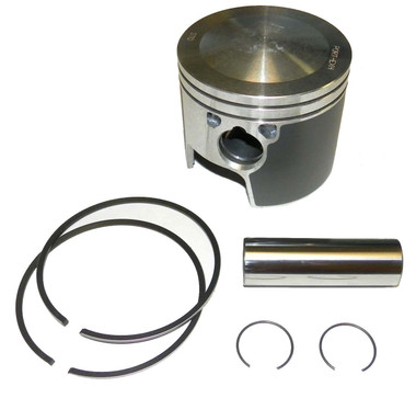 WSM Johnson / Evinrude 200 -250 Hp 6 Cyl.  Piston Kit 100-125K OE 0435029, 04368