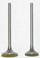 WSM Engine Valve Kit Honda 185 / 200 ATC / TRX 80-86 - 017-004, 14711-440-000