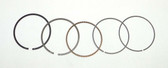 WSM Honda 250 / 300 TRX Piston Ring Set 51-229-07 - 1mm OVER SIZE ONLY