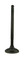 WSM Intake Valve Honda 250 / 300 TRX 87-08 - 017-016-01,  14711-HC0-000