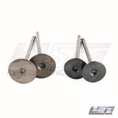 WSM Engine Valve Kit Polaris 550 Sportsman 09-14 - 017-402, 3090118,  3090119