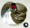 Solas Yamaha 700-800 Impeller YB-CD-13/17a, 6R7-51321-00-8S, 62T-51321-B0-00