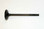 WSM Intake Valve Yamaha 150 - 350 Hp 4-Stroke '09-'22, 120-260, 6CB-12111-00-00